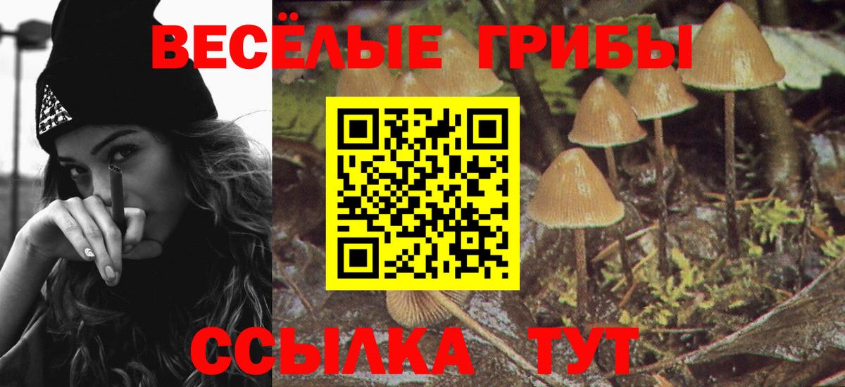 Галлюциногенные грибы GOLDEN TEACHER  Вход с VPN  Галлюциногенные грибы прущие грибы  Серов 